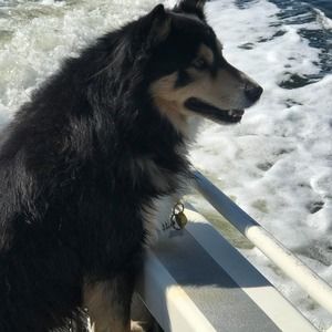 Meet your Posher, Larissa